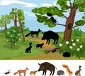 Find the right shade. Educational children matching game with animals living in grove and park. Ecosystem of forest.
